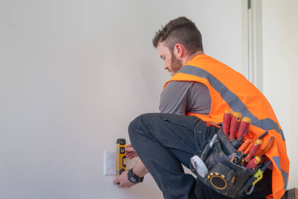 Best Electric Panel Repair  in Rowland, NC